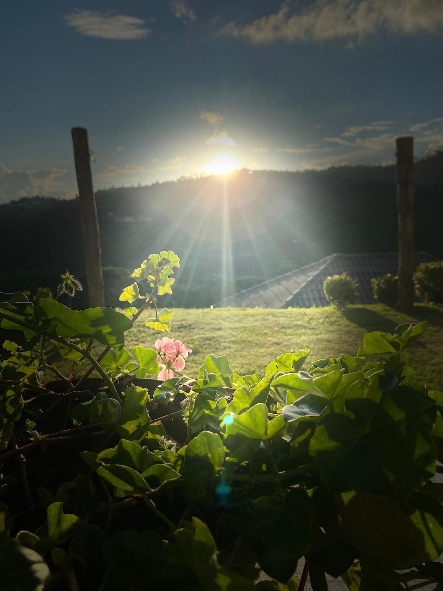 Campos do Jordão Casa Aconchegante Na Montanha 아파트 외부 사진
